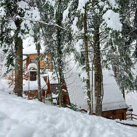 Chalet Forest Amerika-bungalovi Milica Vrbovsko