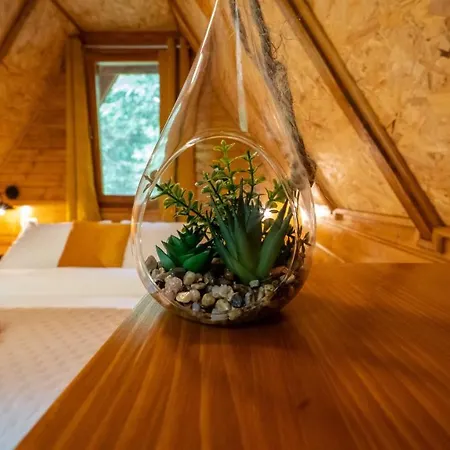 Forest Amerika-bungalovi Milica