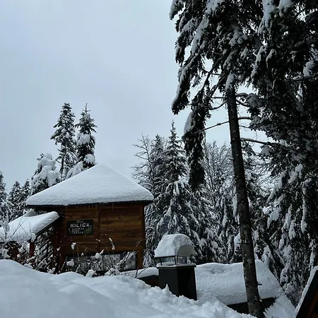 Forest Amerika-bungalovi Milica *