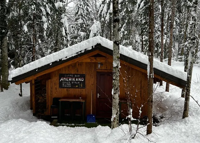 Forest Amerika-bungalovi Milica Chalet