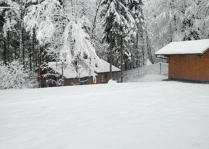 Chalet Forest Amerika-bungalovi Milica *