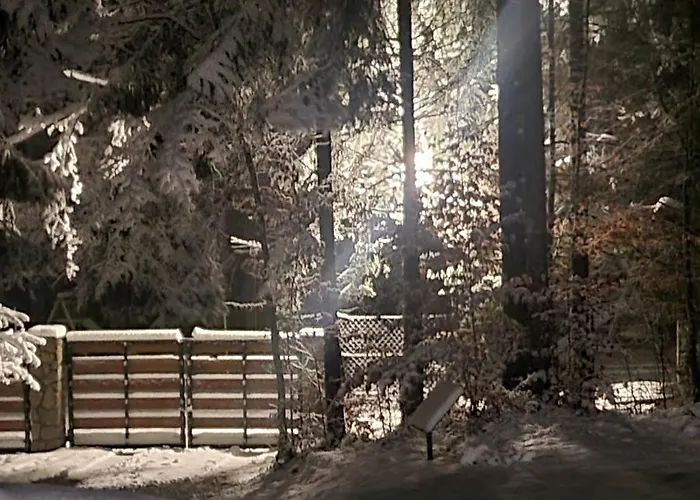 Forest Amerika-bungalovi Milica シャレー *